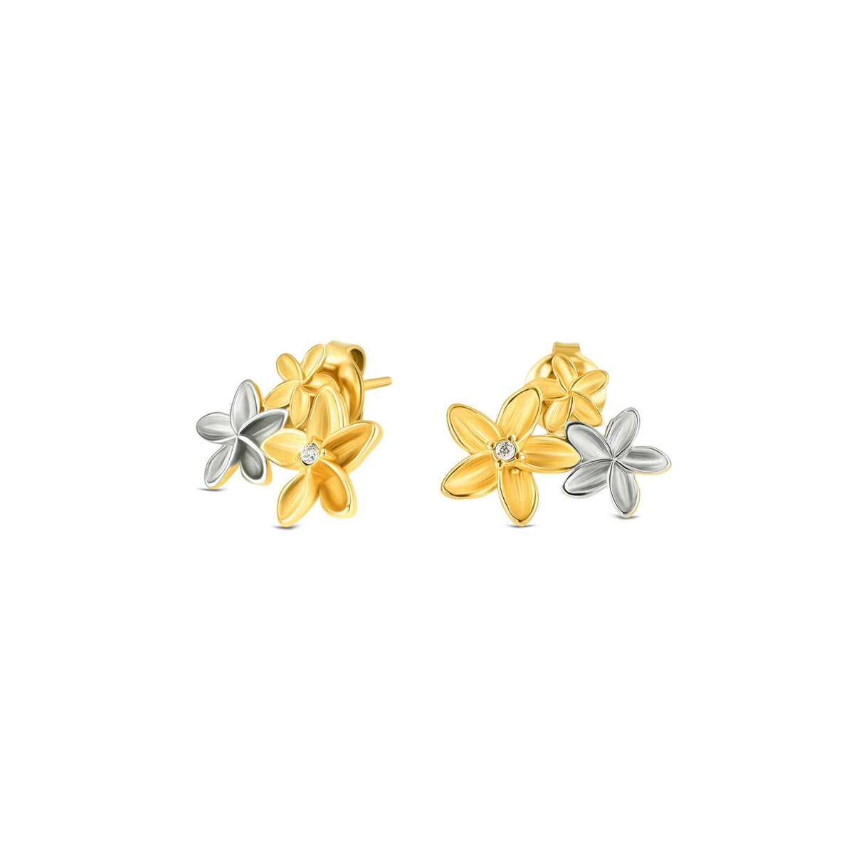 Golden Bloom Earrings ✨