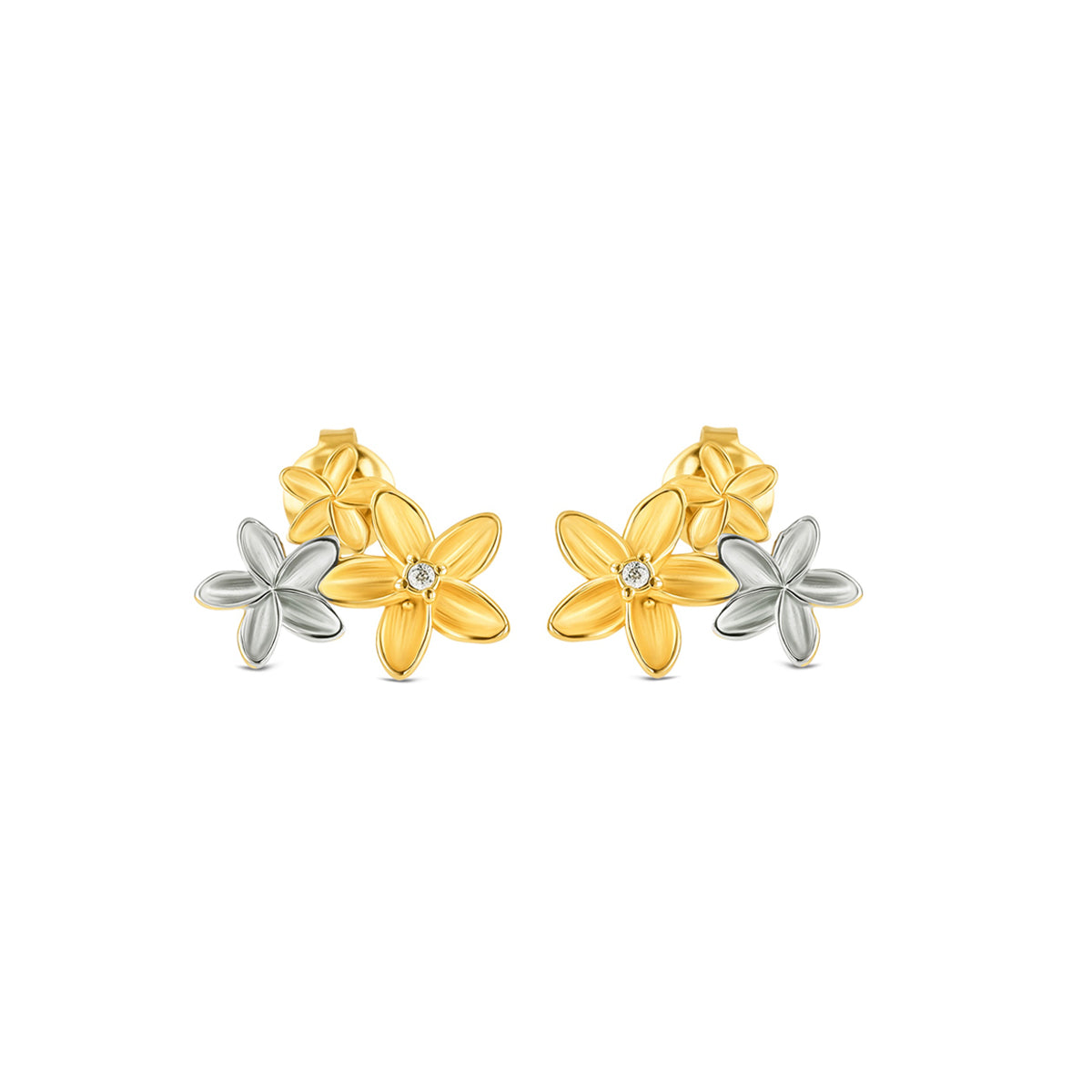 Golden Bloom Earrings ✨